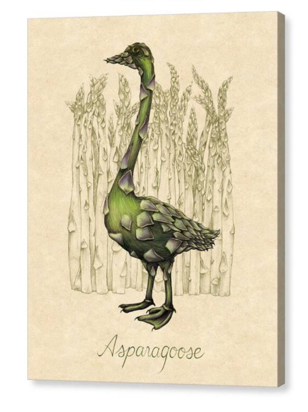 Asparagoose Art Canvas Print by Allison Rogers 20” x 16” NEW